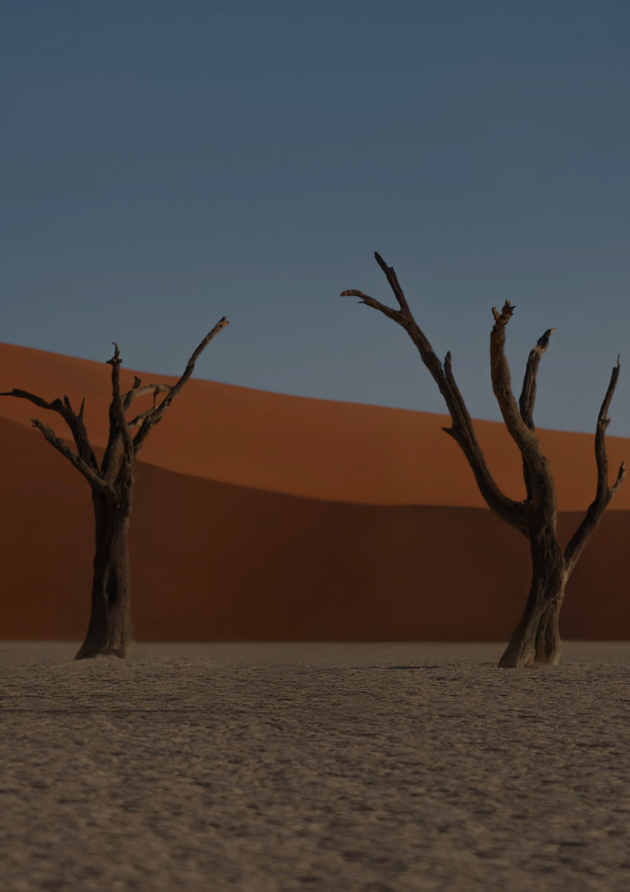 Traces Dekor-Hintergrund